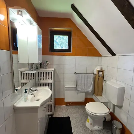 Mountain House 1984 Tatil Evi
